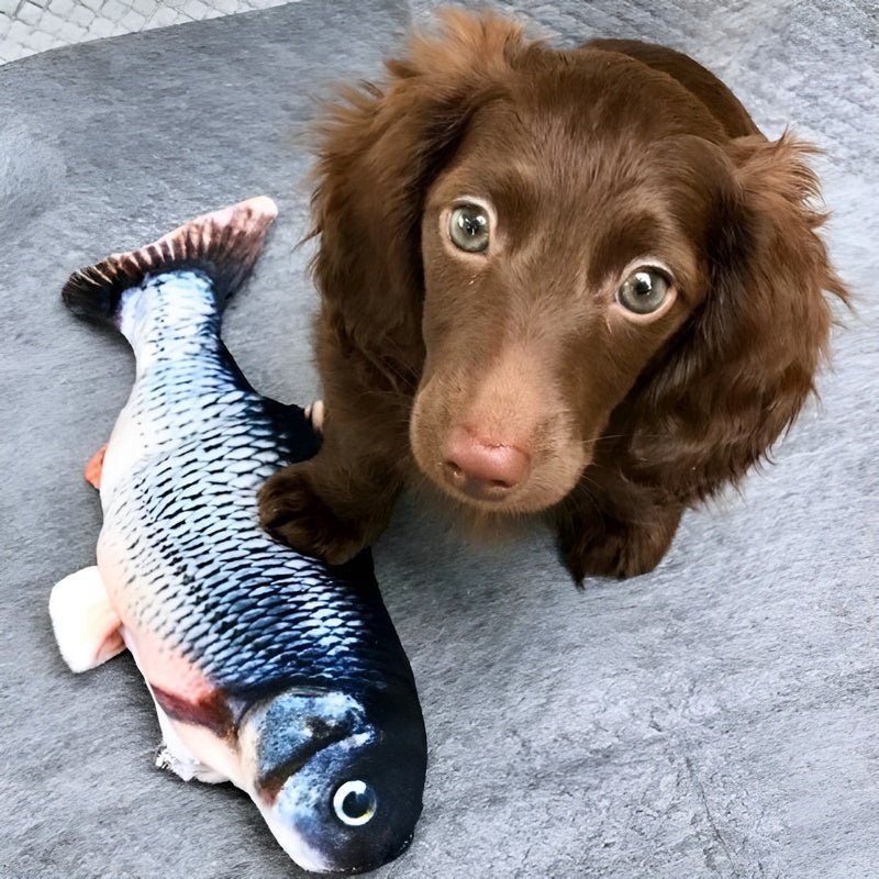 FishBop™ - Interactive fun for your furry friends - Levora